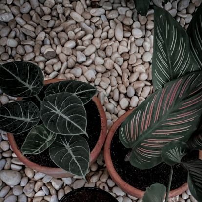 nolanlut0116's profile picture. I just want to drink coffee create stuff and sleep