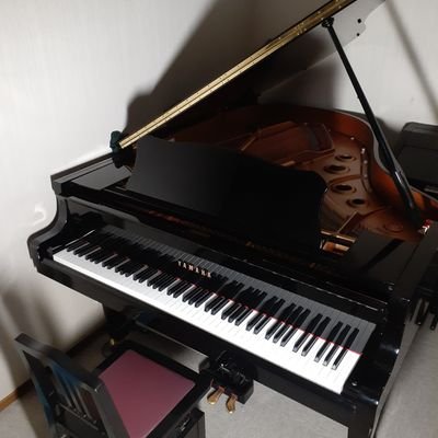 🎹音楽好きな方々と繋がれたら嬉しいです!ピアノ、エレクトーン教えてます。耳コピでアレンジしたピアノ演奏をYouTubeにアップしてます!
https://t.co/P49vhYCbQG良かったらチャンネル登録