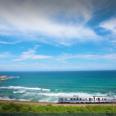 WangQuanQing1's profile picture. 