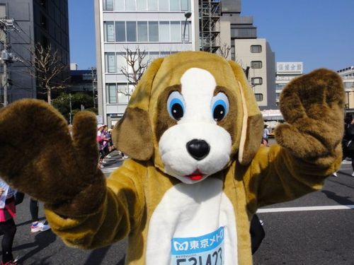 マラソン/トレイルラン/映画/時事/動物/信州大好き/ヨーロッパ大好き Marathon/Trail running/Movies/Opinion/Animals/Introducing Japan/  I run with this dog suit!