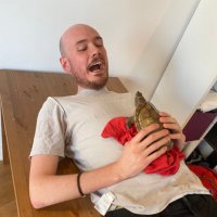 Ross Stephens (@rosssas) 's Twitter Profile