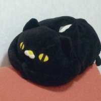 にぼ太 (@nibota28) 's Twitter Profile
