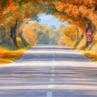 Nasr Eltaweel (@nasr_eltaweel) Twitter profile photo