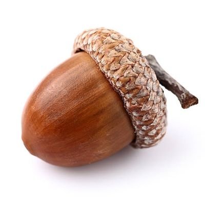 Quercus Profile