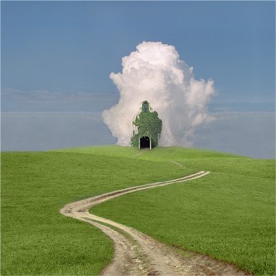 mt. carlmoreさんのプロフィール画像