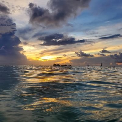 t1m3fr33d0m's profile picture. 