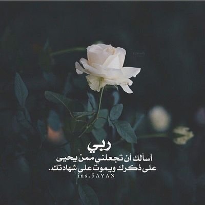 استغفرالله بوسع السماء واكثر 💛