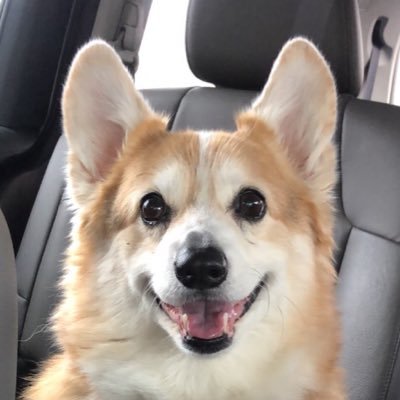 LRSporck's profile picture. 