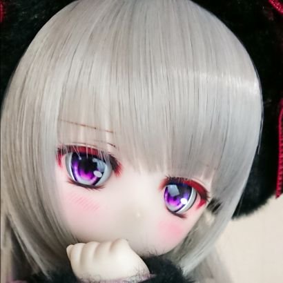 2019 7/19日台灣から夢叶(ゆめか)お迎えして12/1日さくらぱふぇーず様より叶希(かのん)お迎えしました(⁎˃ᴗ˂⁎)
名前長いので、かるでもかろでもなんでも良いです( ºωº )