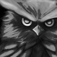 Buohh (@buohh) 's Twitter Profile