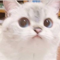 LoGi (@logiilol) 's Twitter Profile