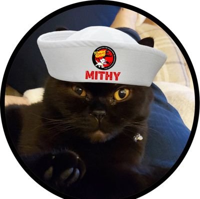 Rescue https://t.co/pRHR6MyOhW passions are patrolling the borders, protecting birdies, sleeping, purring and cuddling. Proud member of the Hatfield Hug & the Zombie Squad