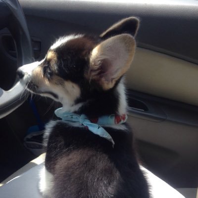 Davede1150's profile picture. 
