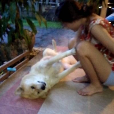 nikinarm's profile picture. นกน้อย ของกัซ
เมนแจบอมกะแจ็คสัน