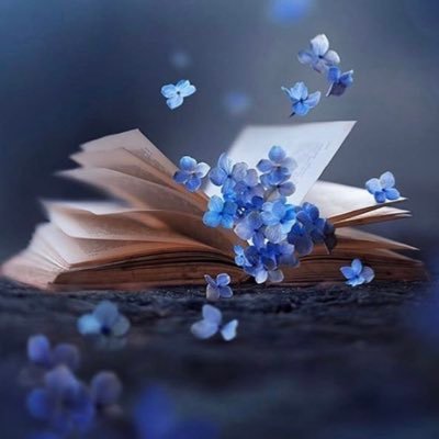 ,تجميع لدروس الحياة كي أستطيع الرجوع اليها وتعويد فكري ليأنس بها✍️ ما أراه نافعا لي ولَك .....ممارس في العلاج الواقعي