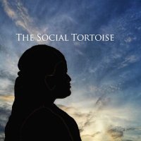 TheSocialTortoise (@_socialtortoise) 's Twitter Profile