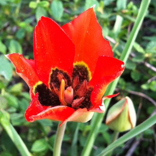 RoboKoff's profile picture. 