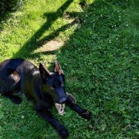 Quotawise (@quotawise) 's Twitter Profile