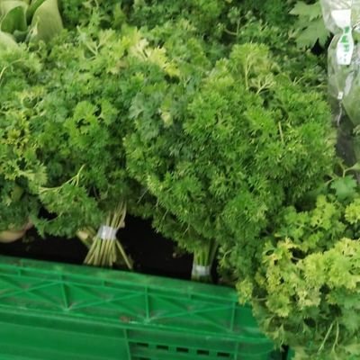 AkuSendrii's profile picture. Solana merch collector 🧢 | Showing L1 pride