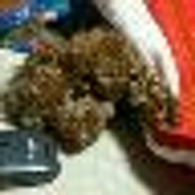 渡邊綾子 Apayamw Twitter