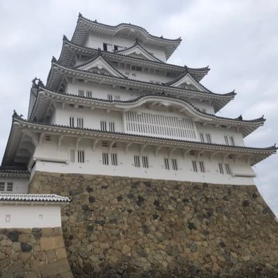 alto_yp's profile picture. 遊戯王は"或人"で参加しています。遊戯王メインに色々呟く予定。秋葉原、横浜辺りに出没しています٩( 'ω' )و