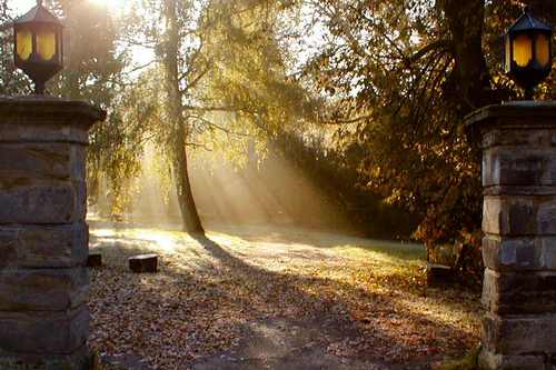 BegleitenSorgen's profile picture. Alter(n) - aber nicht erst dann: Begleiten, Sorgen, Pflegen, Teilhabe(n), Mobilität, Wohnen, Leben. Wissen aus Gründen & Erfahrung, persönlich. | RT≠endorsement