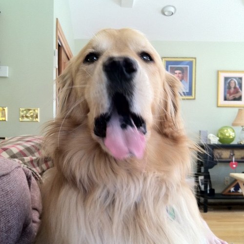 mike140a's profile picture. 