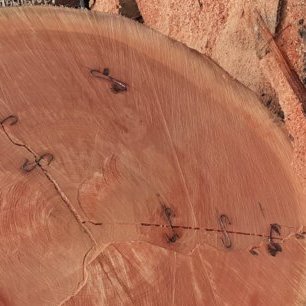 SodeforT's profile picture. exploitant du bois