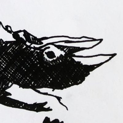 Luca Profile