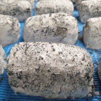 Ribblesdale Cheese (@ribblesdalec) 's Twitter Profile Photo Ribblesdale Cheese (@ribblesdalec) 's Twitter Profile Photo