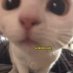 ข้าวต้มมัดเท่าไหร่ สองรอบจ้า (@devthedice) Twitter profile photo ข้าวต้มมัดเท่าไหร่ สองรอบจ้า (@devthedice) Twitter profile photo