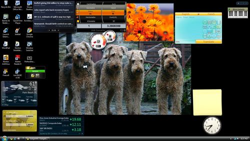 airedale10's profile picture. 