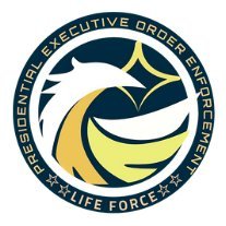 LIFE FORCE Enforcement Unit. A global initiative to protect the fundamental rights of the people.