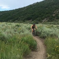 Anne Geijsen (@annegeijsen) 's Twitter Profile
