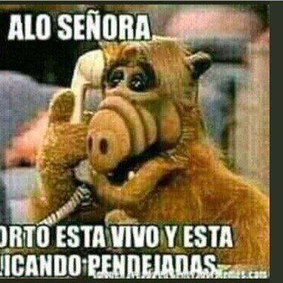 FreamMiami's profile picture. Only Web.