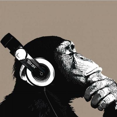 Selfie de macaco vira alvo de disputa sobre direitos autorais
