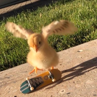 PrettyBrianna_1's profile picture. 