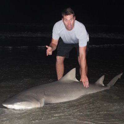 StellfoxStephen's profile picture. 