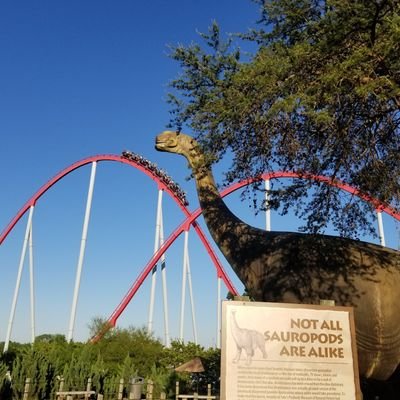 🎢 Rollercoaster fanatic. Theme park enthusiast. Amateur photographer.