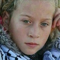 Fatima Salah FreePalestine (@alqudsfreezone) 's Twitter Profile