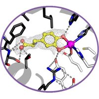 Metallobiochemistry lab at UTSA (@feradlab) 's Twitter Profile