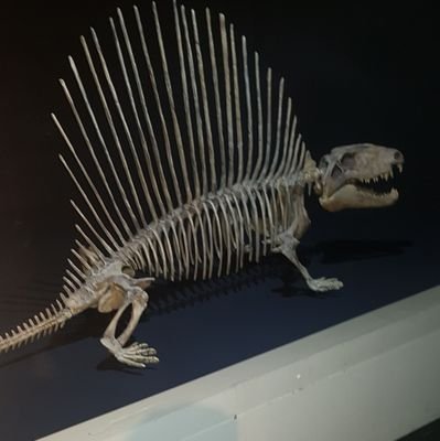 monokengurk's profile picture. Reisefreudiger Saarländer, der in Rheinland-Pfalz lebt.
Gymnasiallehrer, liebt Wortspiele, Gegner von AfD und BSW Portugalfreund