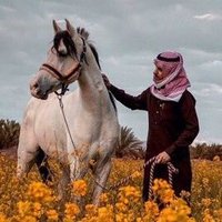 ملغي (@fm2322) 's Twitter Profile Photo ملغي (@fm2322) 's Twitter Profile Photo