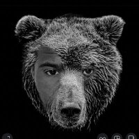 Coach Bear (@only1camspence) 's Twitter Profile