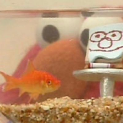 I’m a goldfish that is only understood by red monsters. If you can read this, I have news for you buddy. Oh ya Mr. Noodle is def a twat