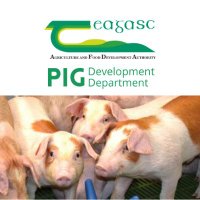 TeagascPig(@TeagascPig) 's Twitter Profile Photo