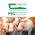 TeagascPig (@teagascpig) Twitter profile photo TeagascPig (@teagascpig) Twitter profile photo