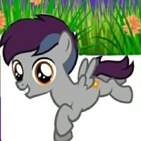 ππ―π¦π«π π’Β βπ¬πͺπ’π¬ π±πΊ (@mlp_romeo) 's Twitter Profile