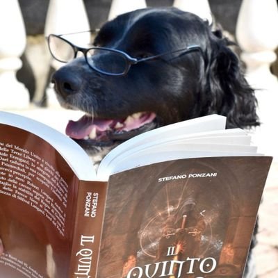 Il quinto regno

romanzo fantasy 📖📖📖 (20/01/2020)

disponibile nelle librerie e negli store online, cartaceo o digitale