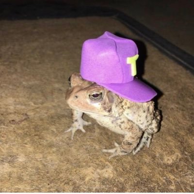 whoismoni1's profile picture. Nice,cute,sometimes weird